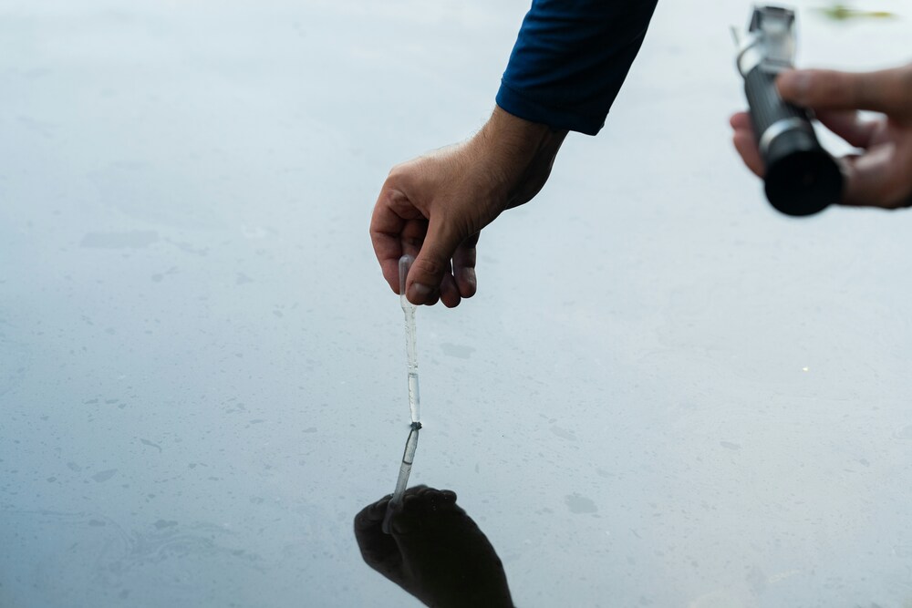Turtle Lake Study- On Water Science Starts Today!