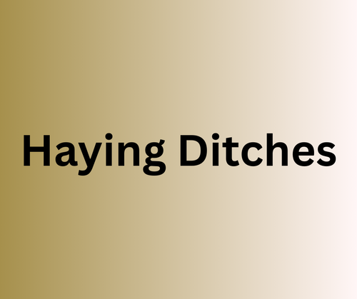 Haying Ditches this summer?