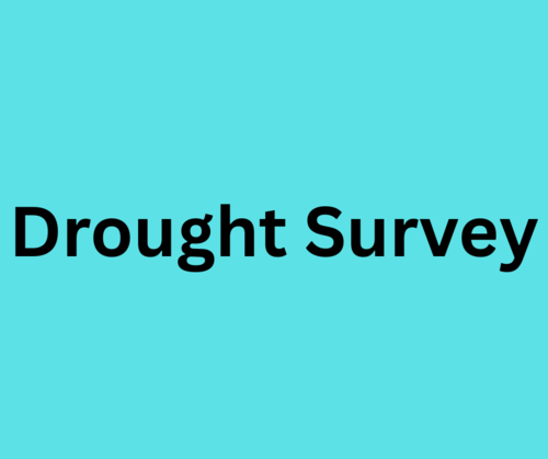 Drought Conditions- Survey